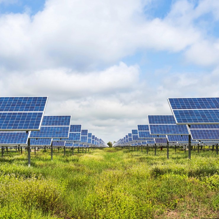 Solar Farm Shutterstock High Res 1