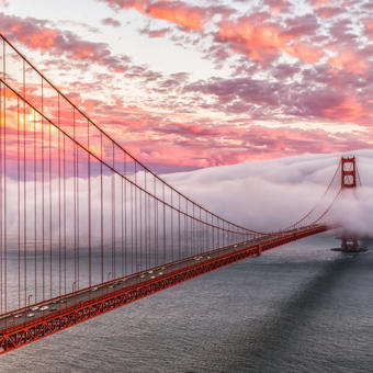 Sf Dave Gordon