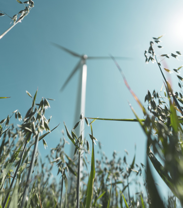 Wind Field