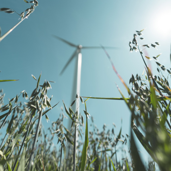 Wind Field