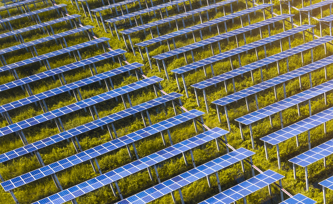 Solar Panels In A Field