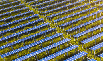 Solar Panels In A Field