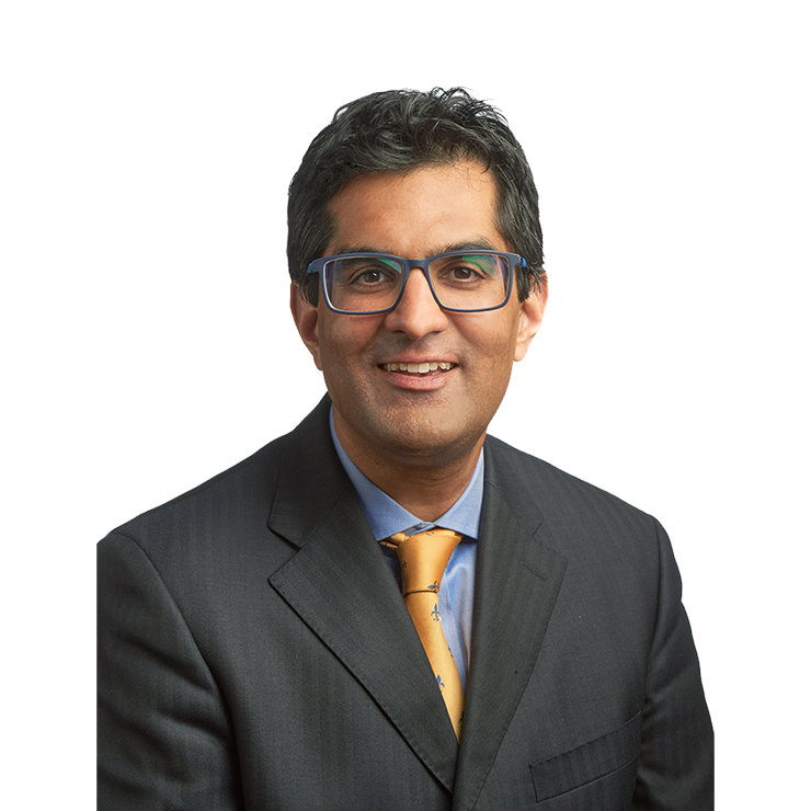 Raj Roy