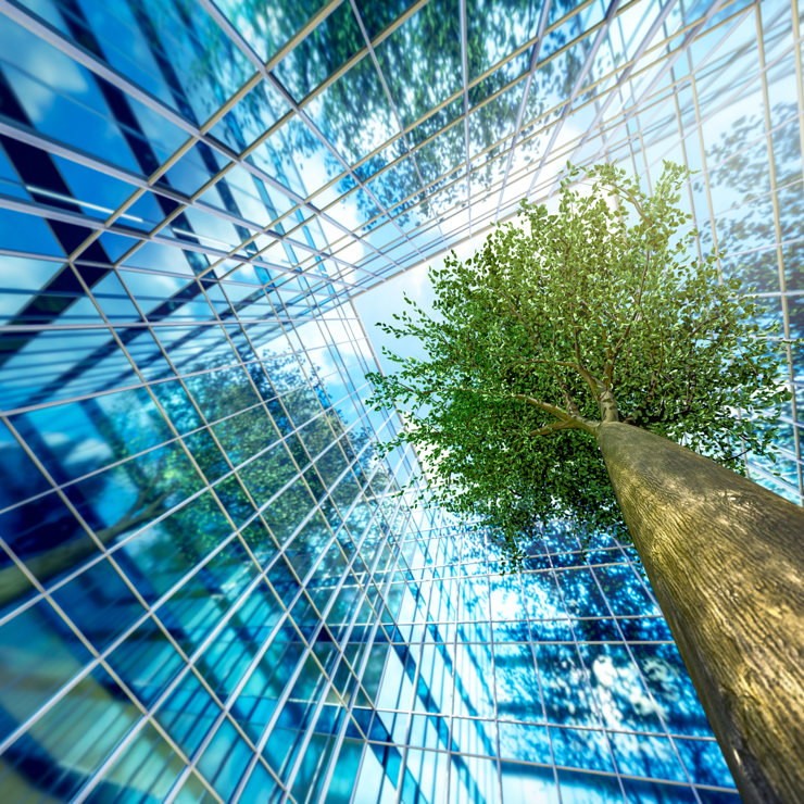 Business Buildings And Growing Green Leaves Tree (1)
