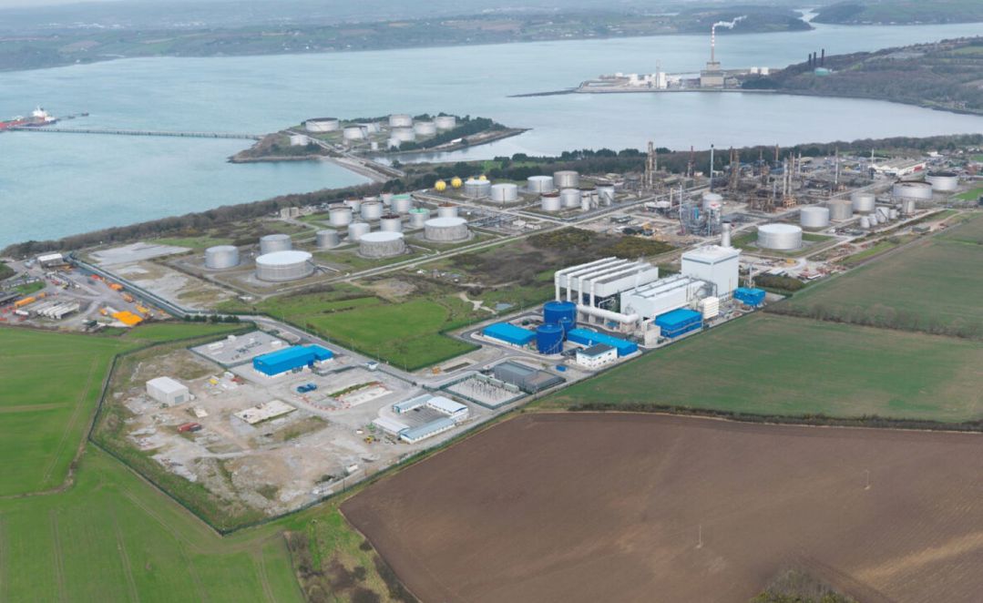 Whitegate Ammonia 3