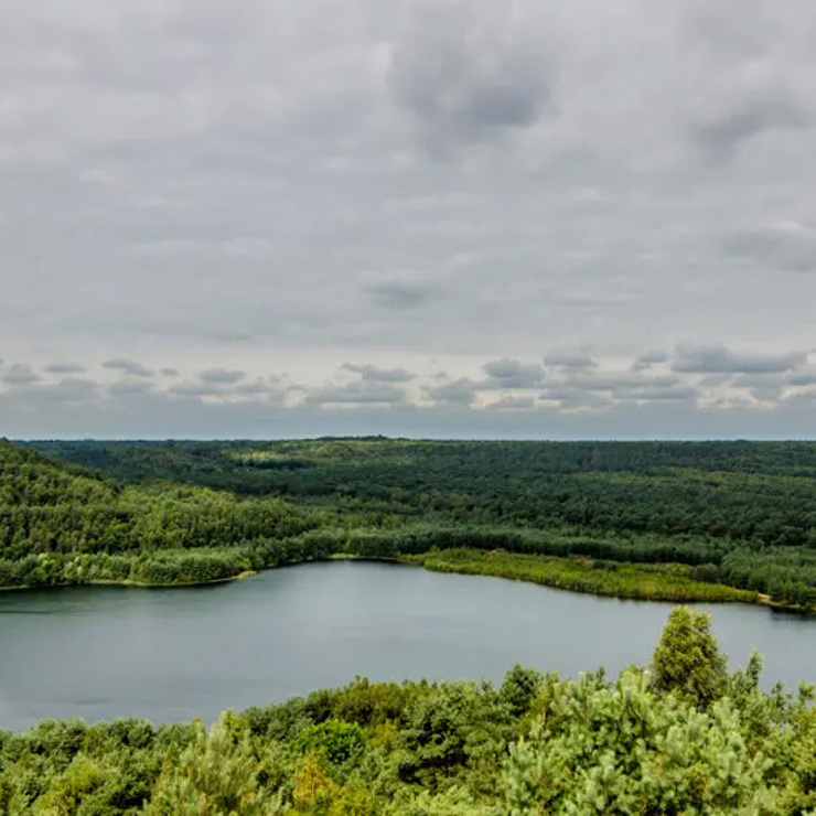 Landscape Image